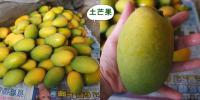 土芒果