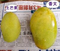 香文芒果