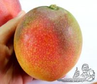 海頓芒果的歷史